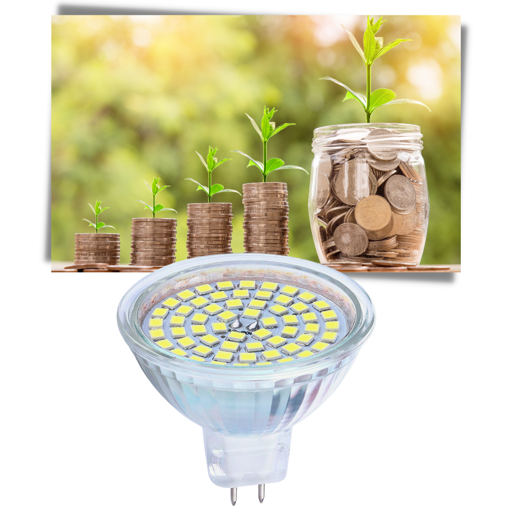 Lot de 3 ampoules LED économique