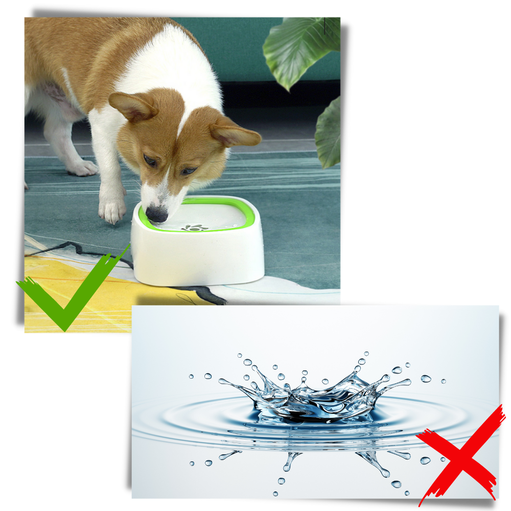 Bol d'eau flottant pour animaux
