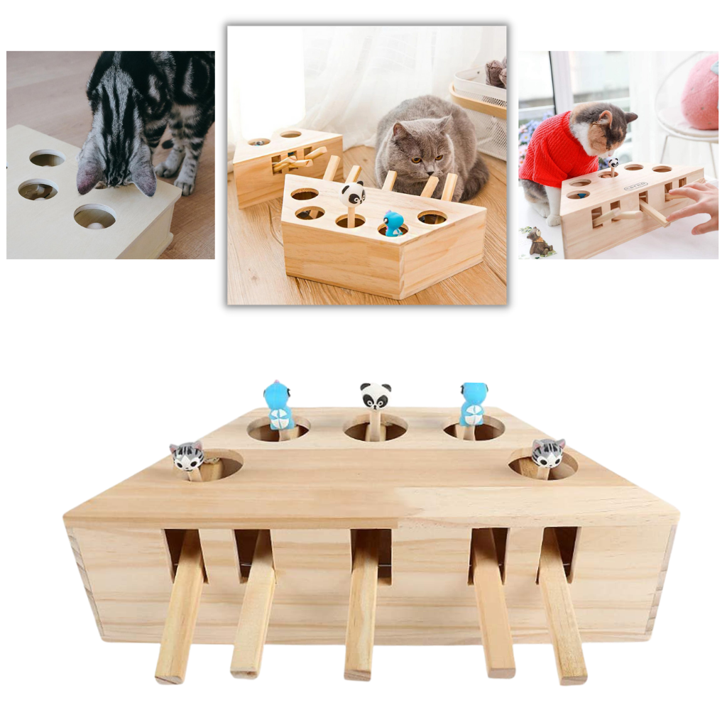 Jouet interactif en bois à 5 trous pour chat