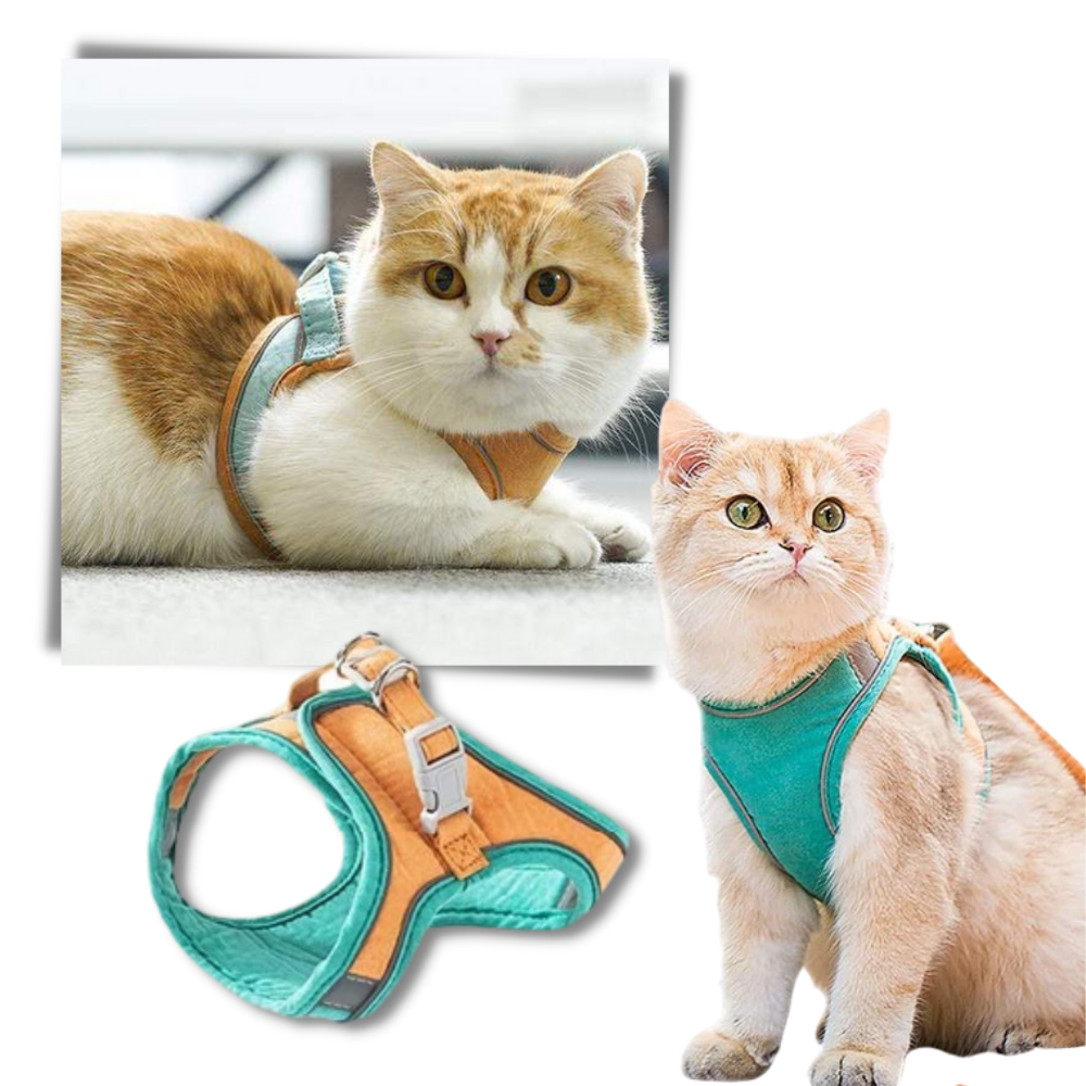 Ensemble harnais et laisse pour animaux