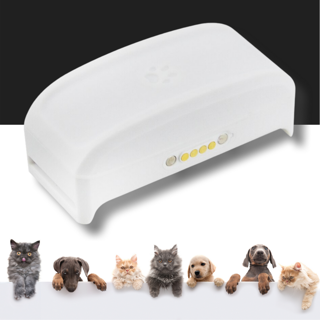 Collier de repérage gps pour animaux de compagnie