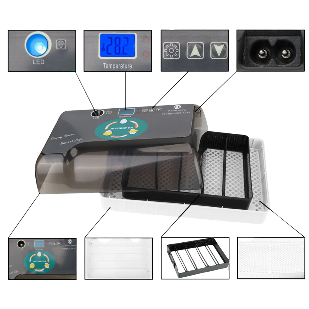 Incubateur automatique d'oeufs