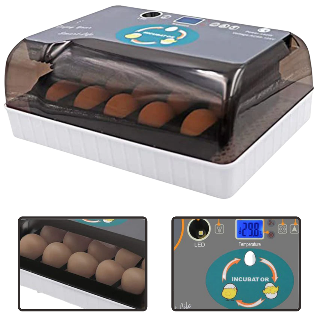 Incubateur automatique d'oeufs
