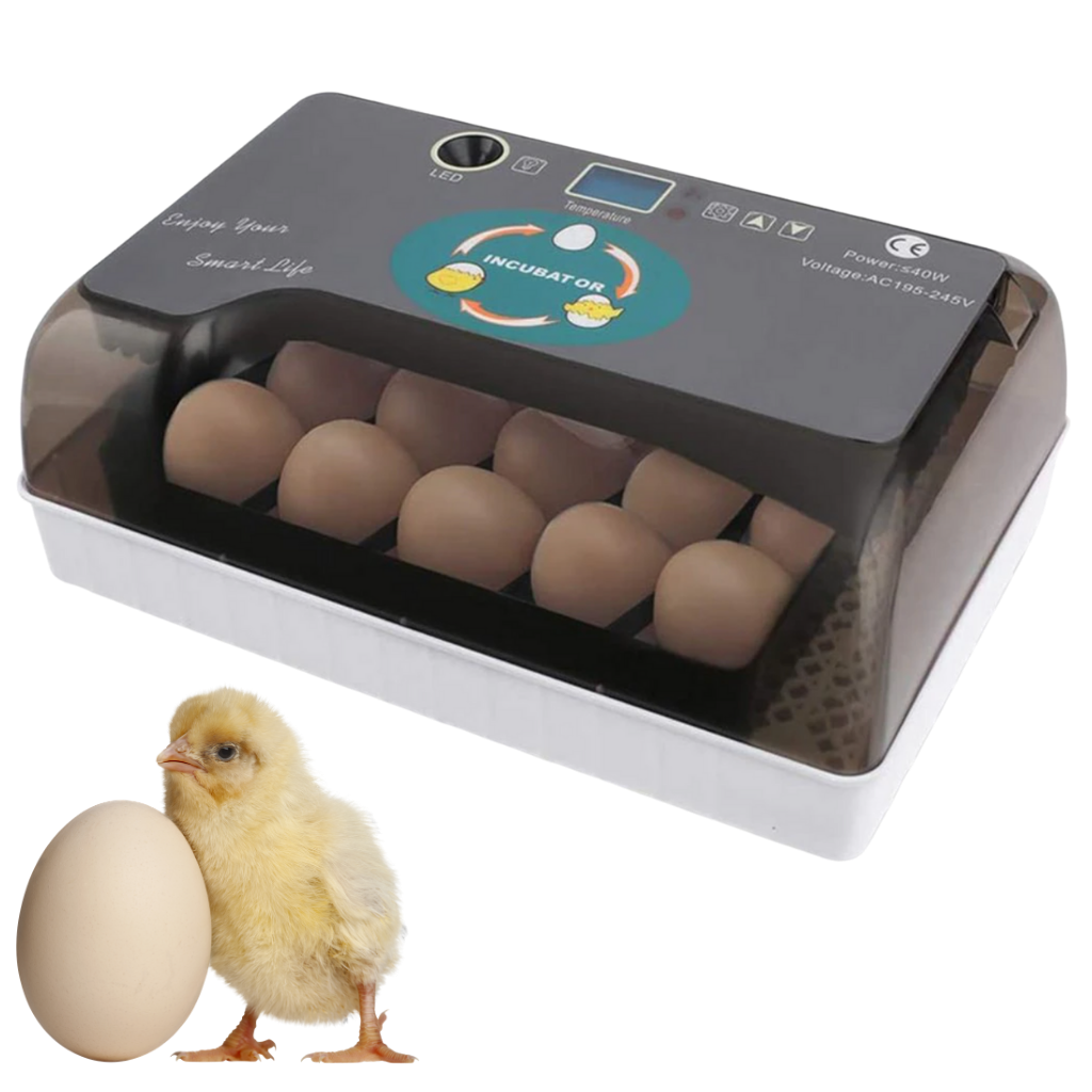 Incubateur automatique d'oeufs