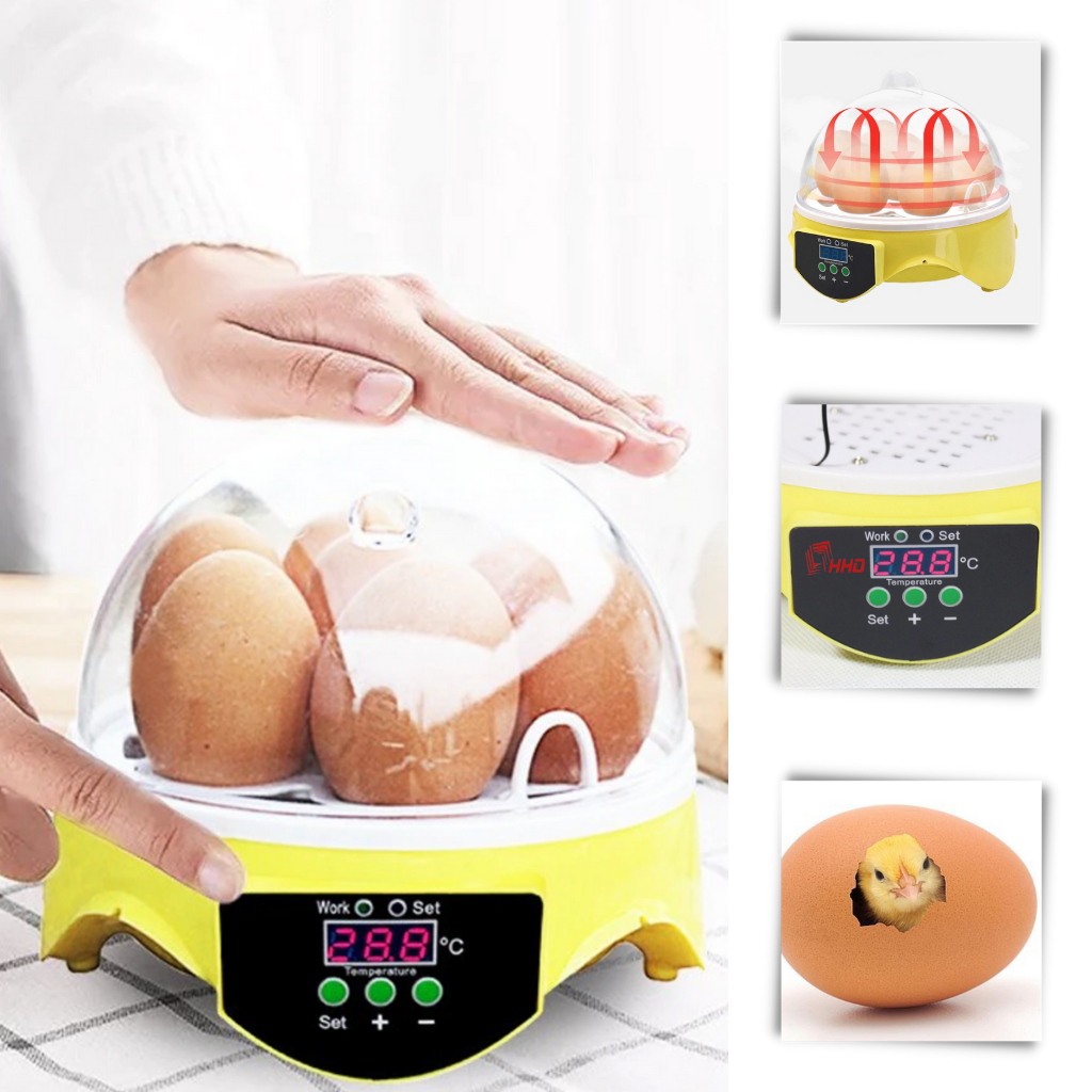 Mini incubateur automatique d'oeufs