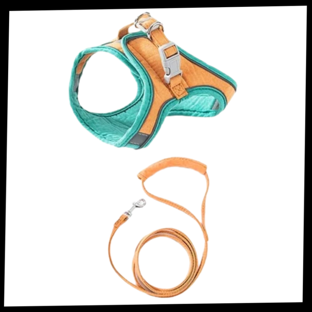 Ensemble harnais et laisse pour animaux