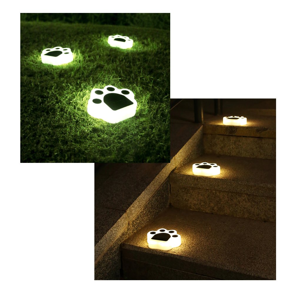 Lumière de chemin en forme d'empreinte de patte à énergie solaire