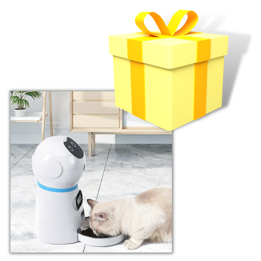 Distributeur automatique de nourriture pour animaux de compagnie