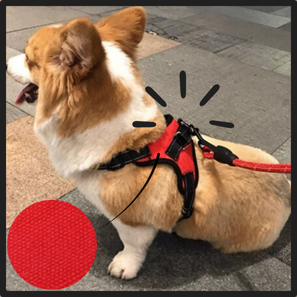 Harnais réglable avec bande réfléchissante pour chien