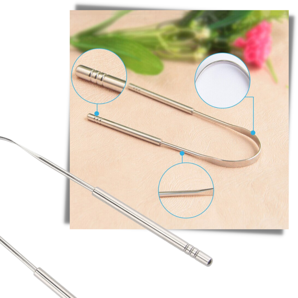 Brosse-langue en acier inoxydable