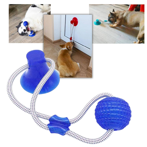 Balle avec ventouse pour chien