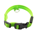 Collier lumineux pour animaux rechargeable par USB