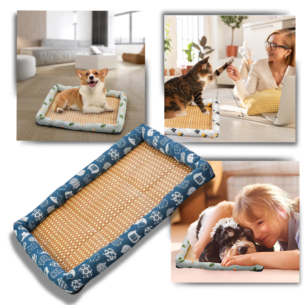 Tapis anti-dérapant et rafraîchissant pour animaux de compagnie