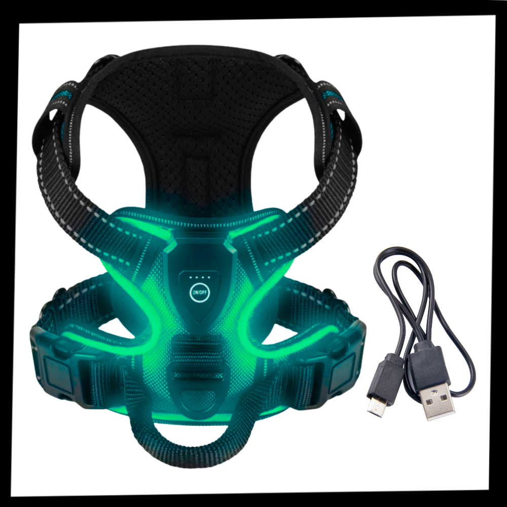 Harnais pour chien avec lumière LED clignotante