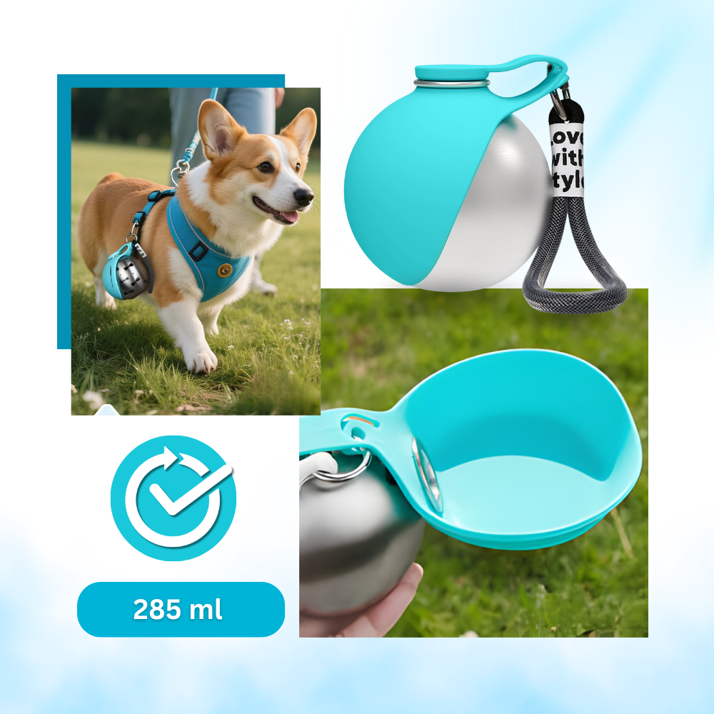 Gourde pratique pour chien