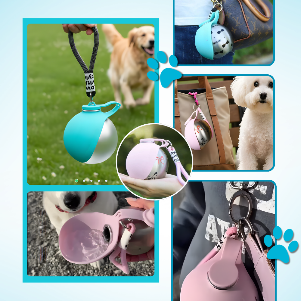Gourde pratique pour chien