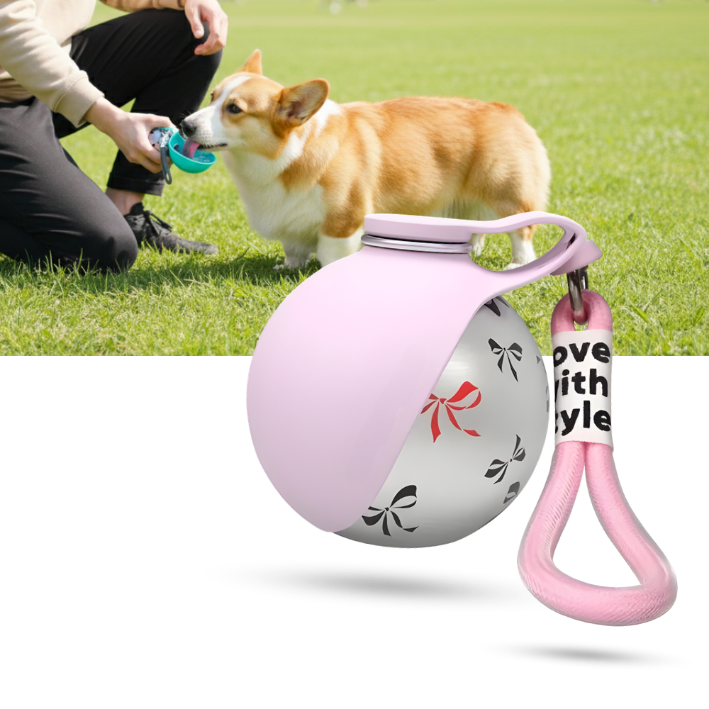 Gourde pratique pour chien