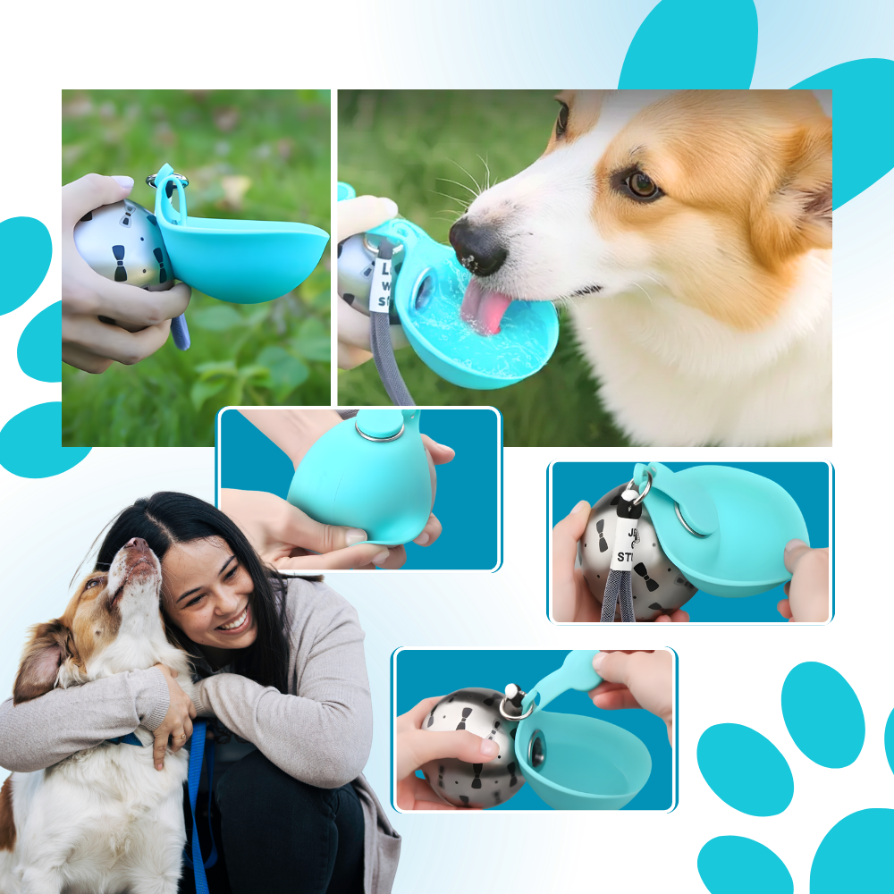Gourde pratique pour chien