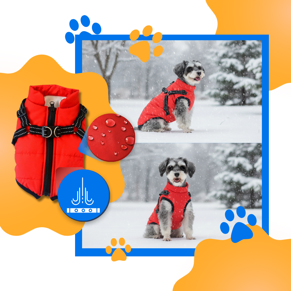 Veste d'hiver confortable pour chien