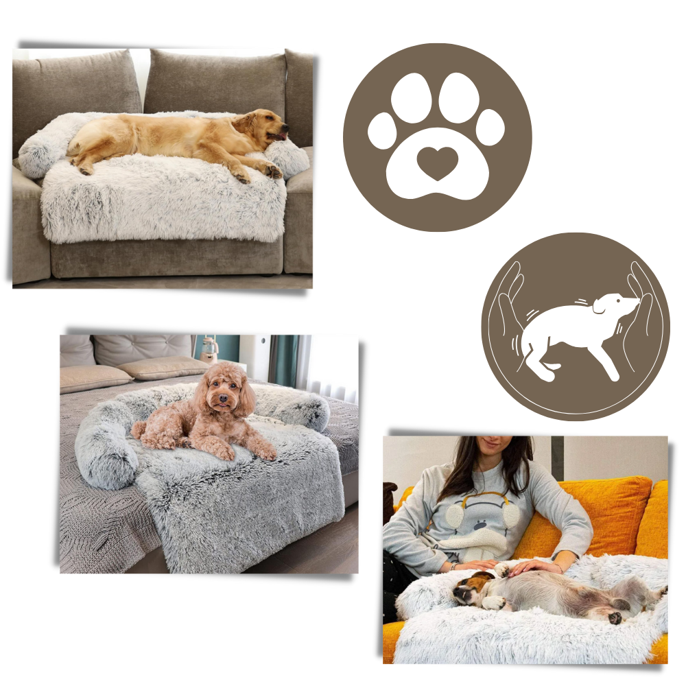 Protège-meubles apaisant pour chiens