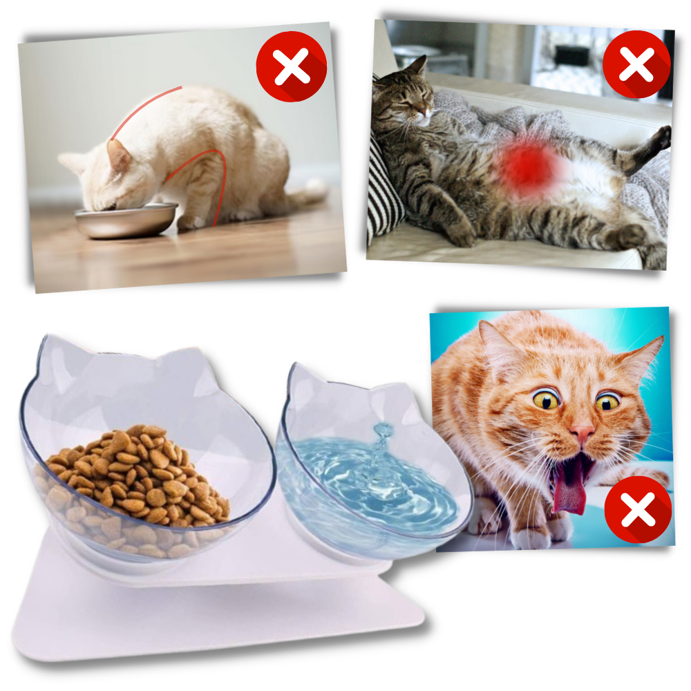 Bol confort surélevé pour chats