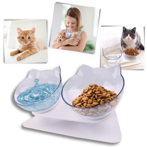 Bol confort surélevé pour chats