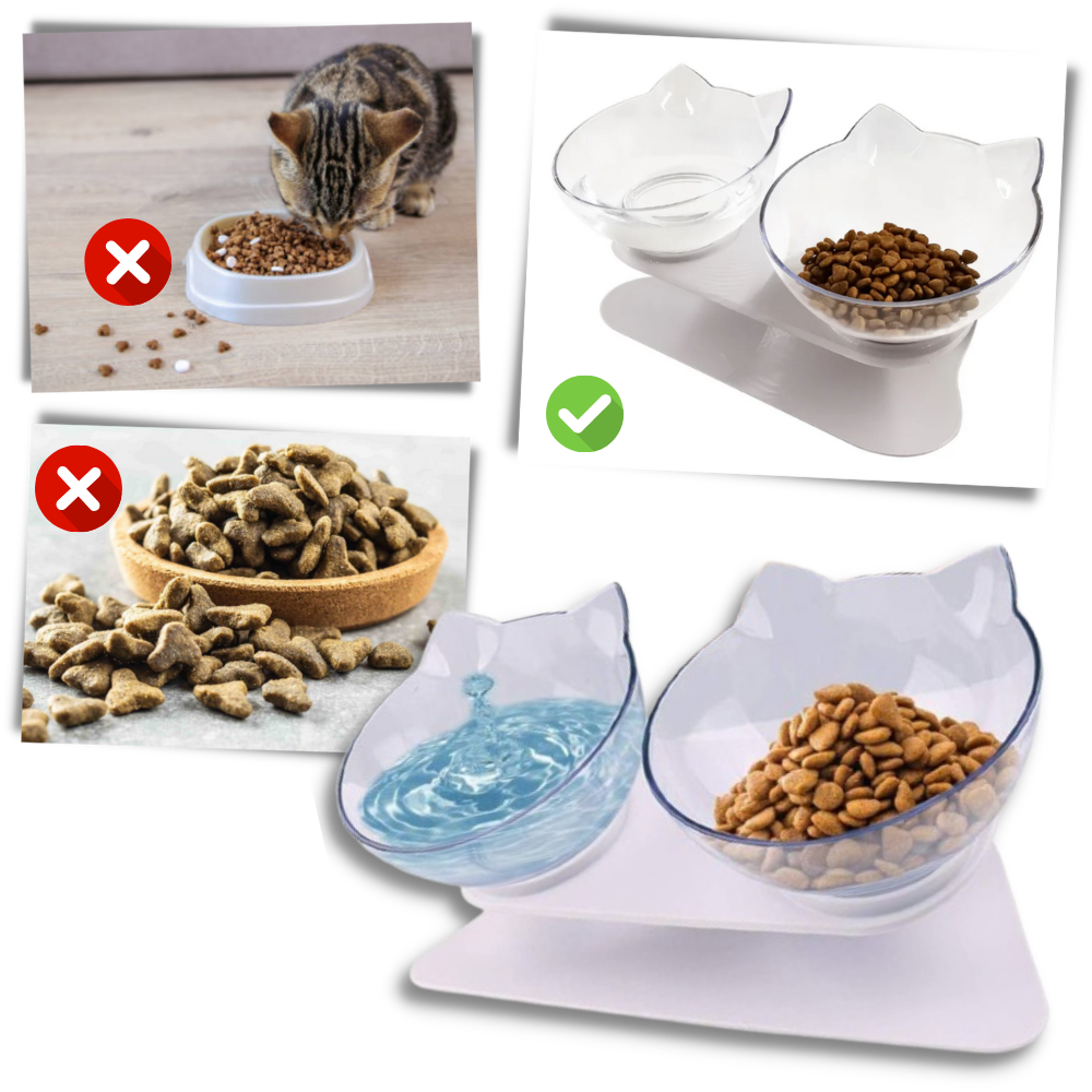 Bol confort surélevé pour chats