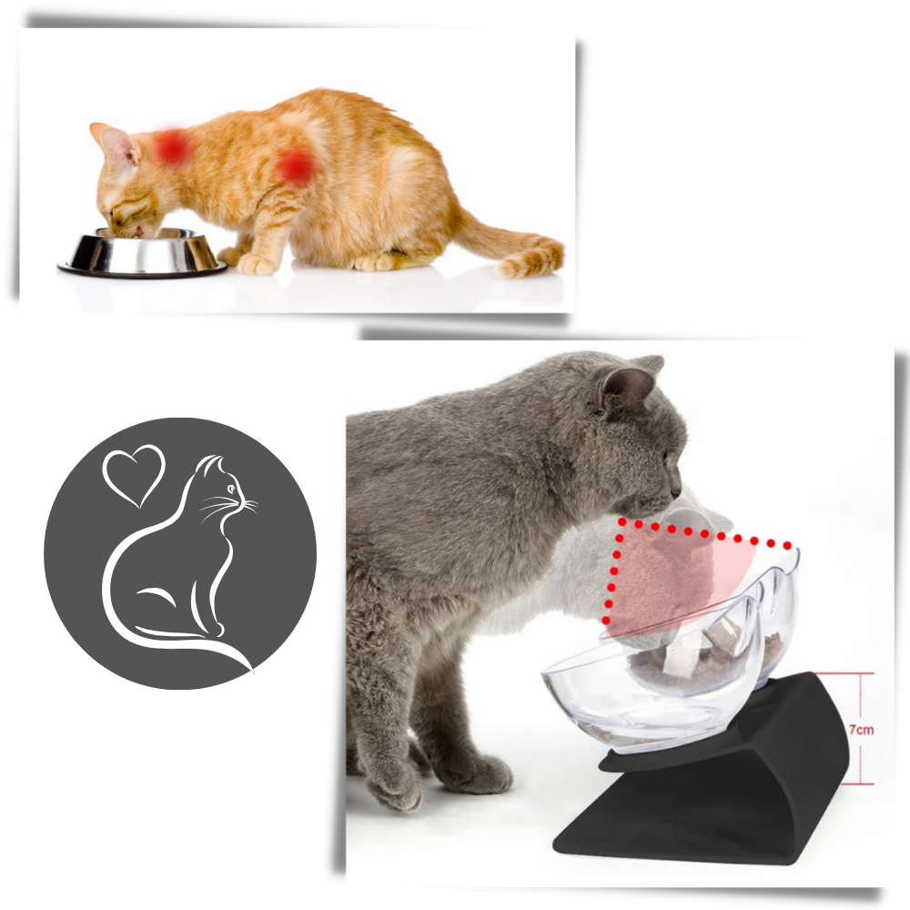 Bol confort surélevé pour chats