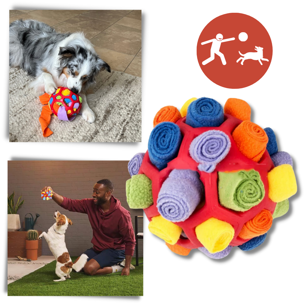 Balle à priser et de stimulation mental pour chiens