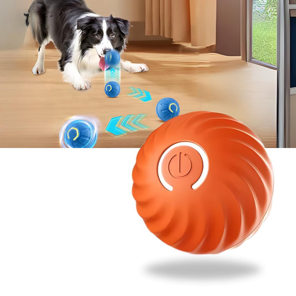 Balle pour chien avec évitement d'obstacles