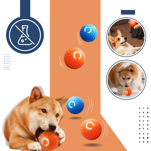 Balle pour chien avec évitement d'obstacles