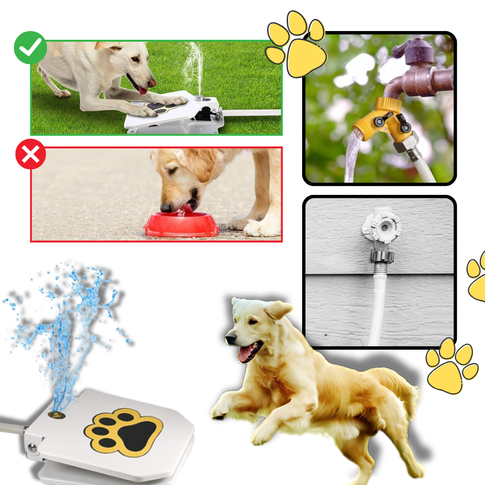 Fontaine à eau pour chien à activation par la patte