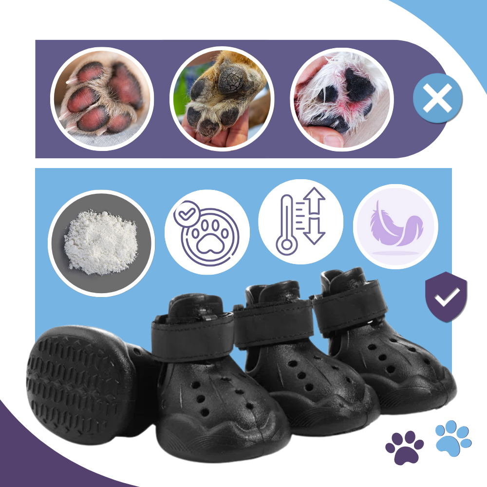 Bottines de protection pour pattes