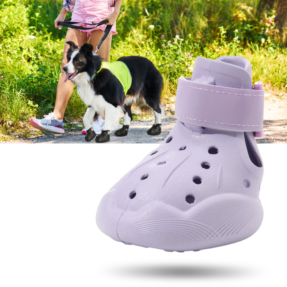 Bottines de protection pour pattes