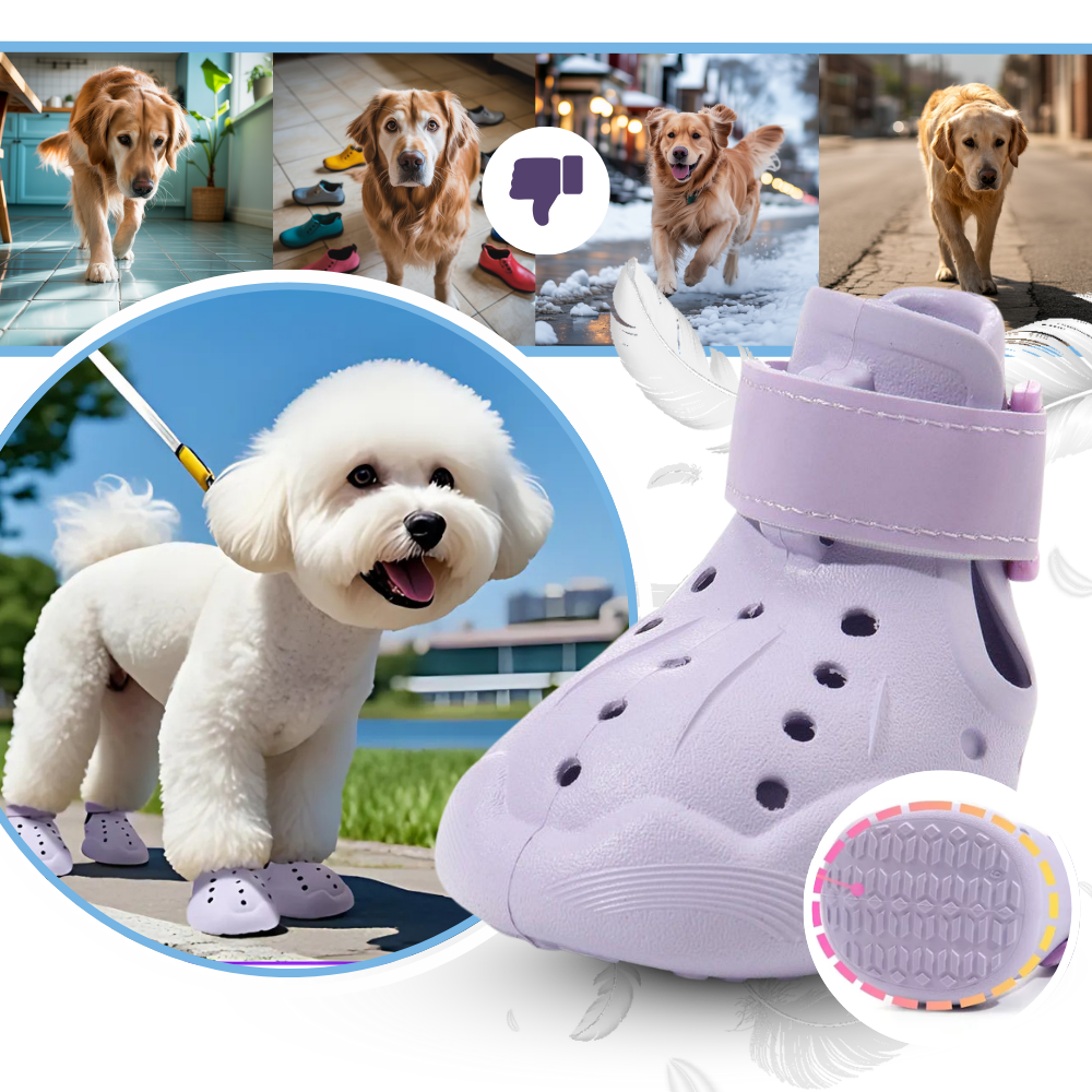 Bottines de protection pour pattes