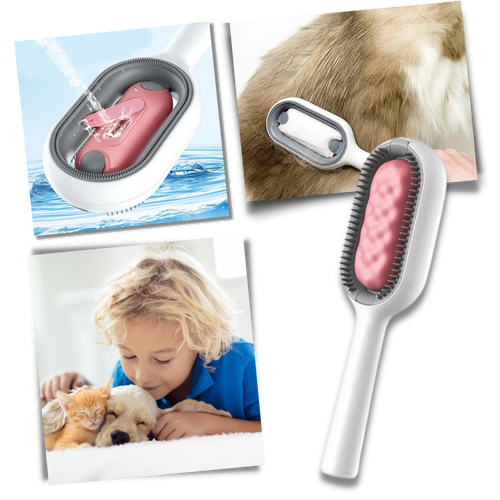 Brosse de toilettage avec réservoir d'eau