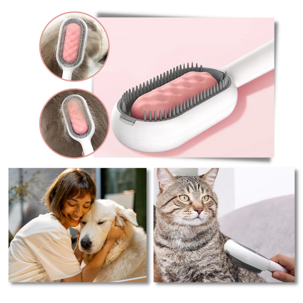 Brosse de toilettage avec réservoir d'eau