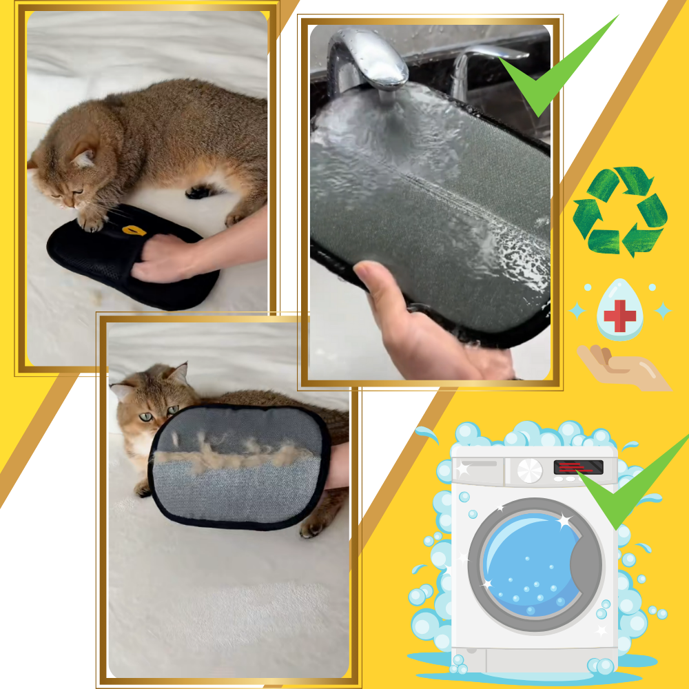 Gant anti-poils pour animaux