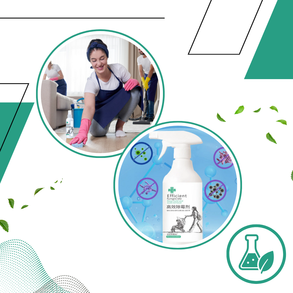 Spray puissant contre les moisissures