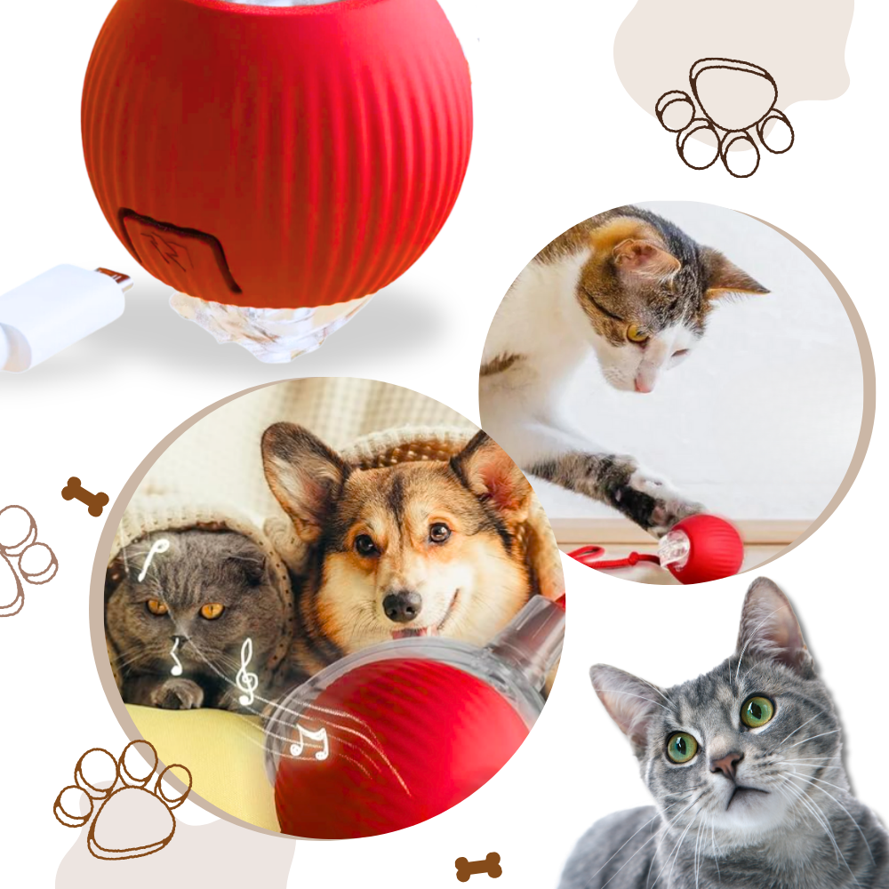 Jouet interactif intelligent pour chats