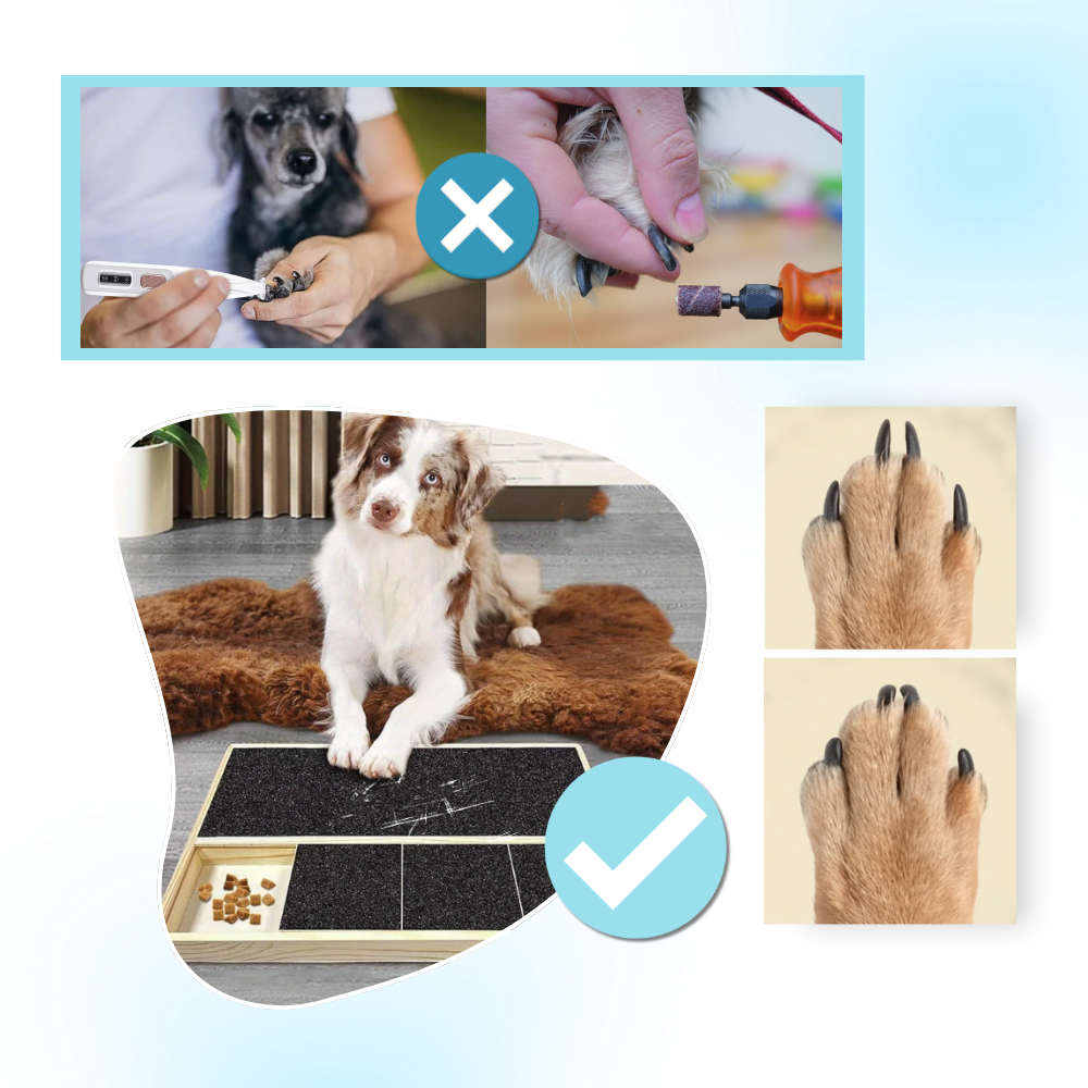 Griffoir anti-stress pour chiens