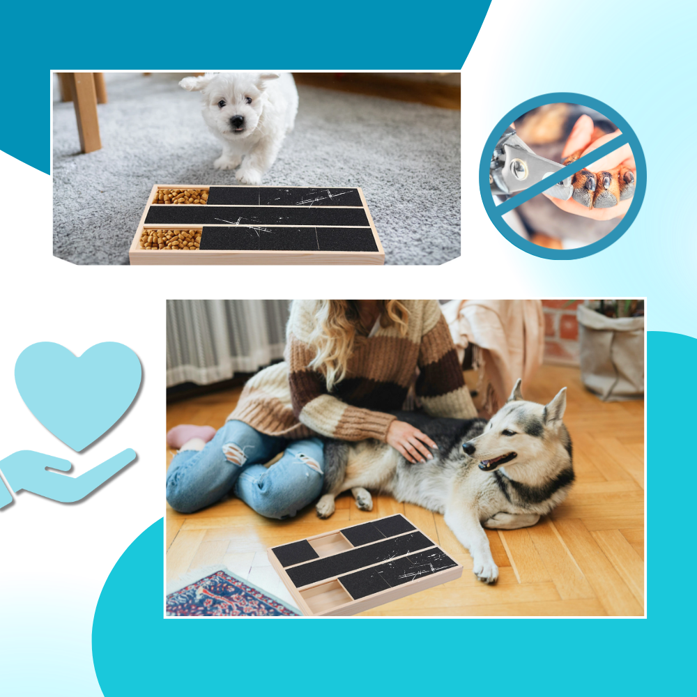 Griffoir anti-stress pour chiens