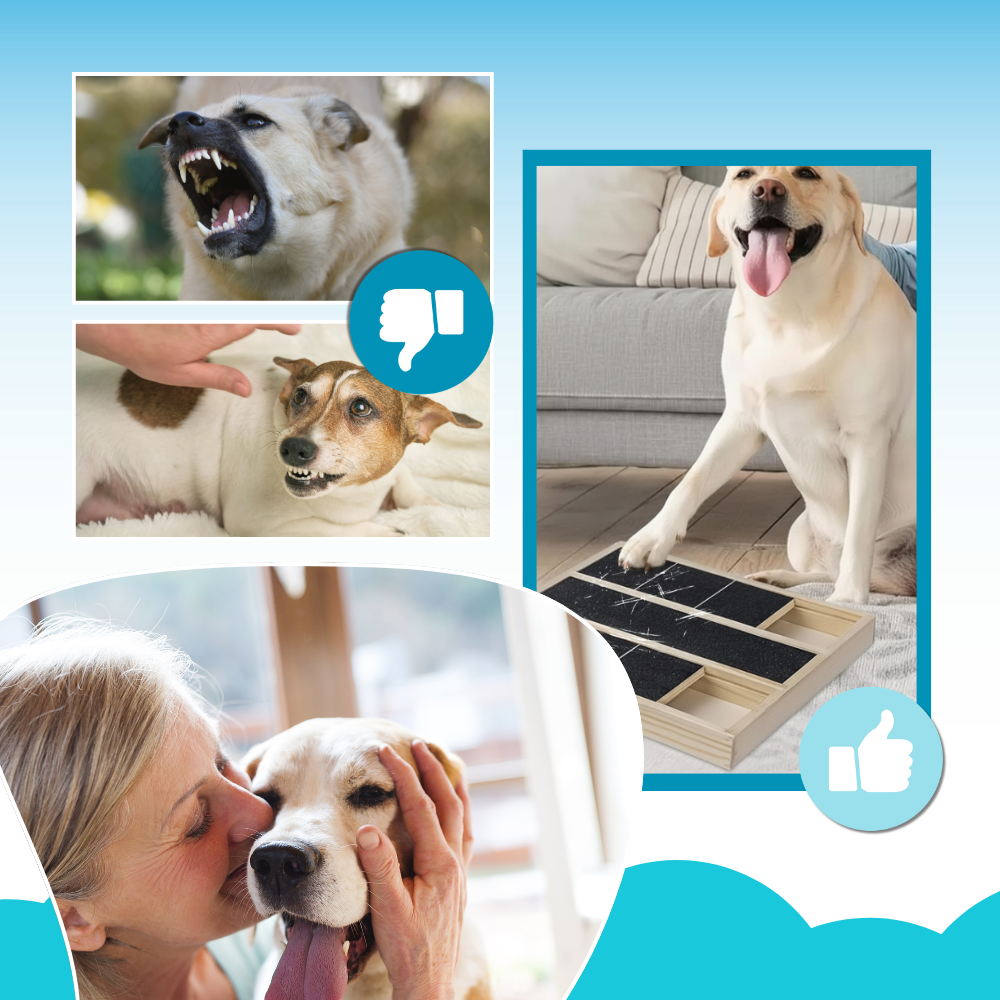 Griffoir anti-stress pour chiens
