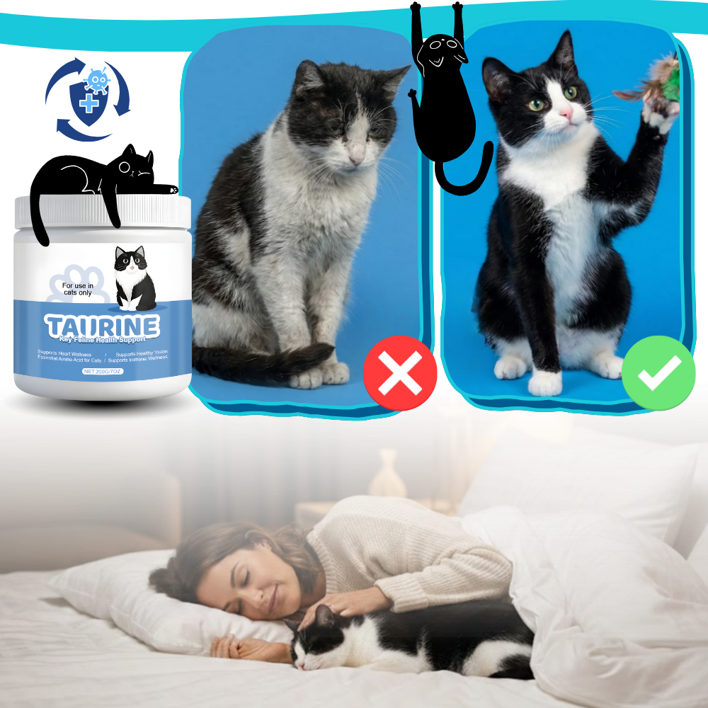 Complément alimentaire à base de taurine pour chats