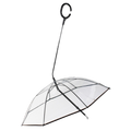 Laisse parapluie transparente pour chien